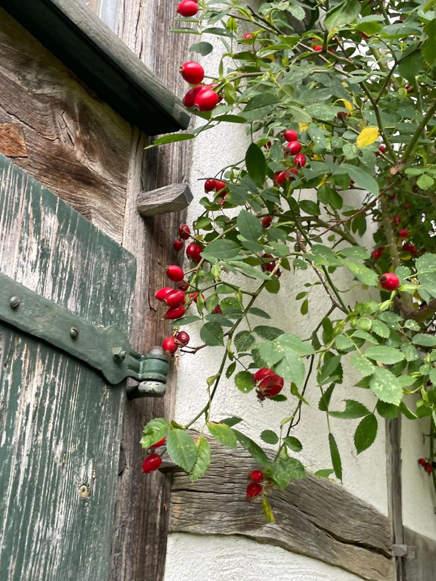Cherrytree Cottage 1840 Heimbach Zewnętrze zdjęcie